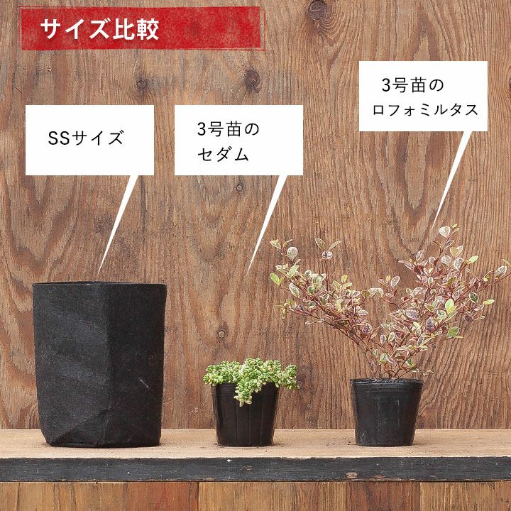 ルーツポーチ：ブラウン3ガロン・持手あり（幅=直径25.5cm、高さ21.5cm） 5個セット[Root Pouch][不織布植木鉢 園芸ネット本店｜[棚卸セール]ルーツポーチ：ネイビー3ガロン・持手なし（幅=直径25.5cm、高さ21.5cm） の通販【公式】