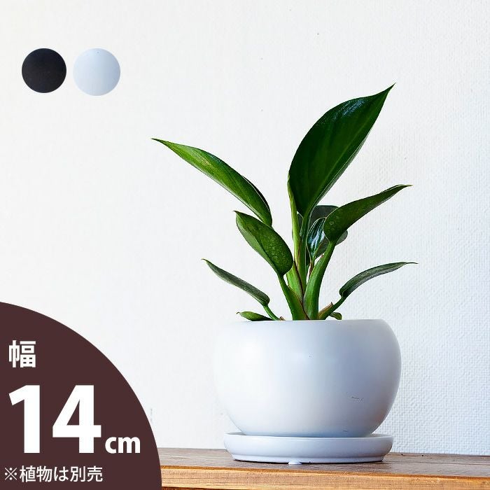 丸い鉢（ボール鉢）色のトーンを抑えた陶器鉢｜[公式] e-花屋さん