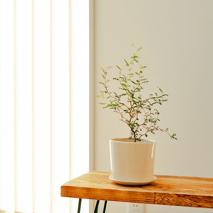 000000001114-02.jpg?size=l&w=