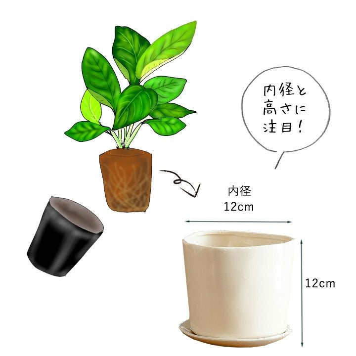 ツヤのある三角陶器植木鉢｜3.5～4号の観葉植物の植え替えに