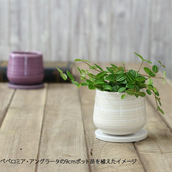 お椀型、3色艶あり陶器鉢｜3号～3.5号観葉植物の植え替えに