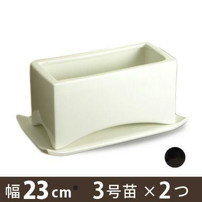 横長の植木鉢（陶器）3号苗2つ入る！観葉の寄せ植えにe-花屋さん