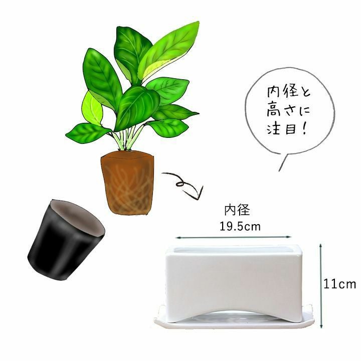 横長の植木鉢（陶器）3号苗2つ入る！観葉の寄せ植えにe-花屋さん