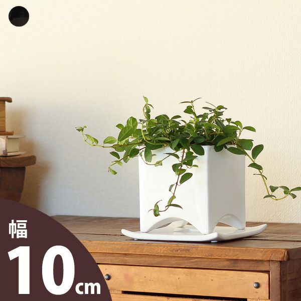 足付き植木鉢（陶器）3～3.5号の観葉植物の植え替えに｜e-花屋