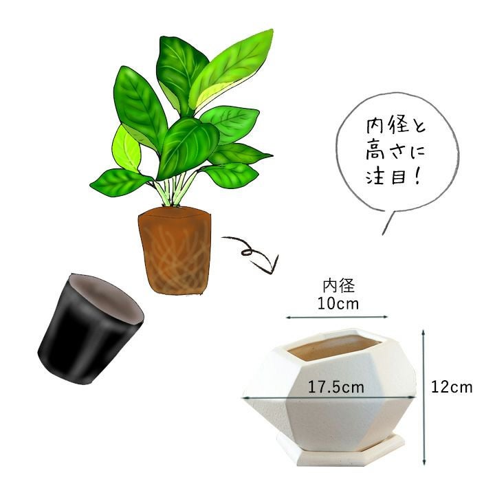 ダイヤモンドのような形の白い面白い植木鉢｜3号～3.5号の観葉植物に