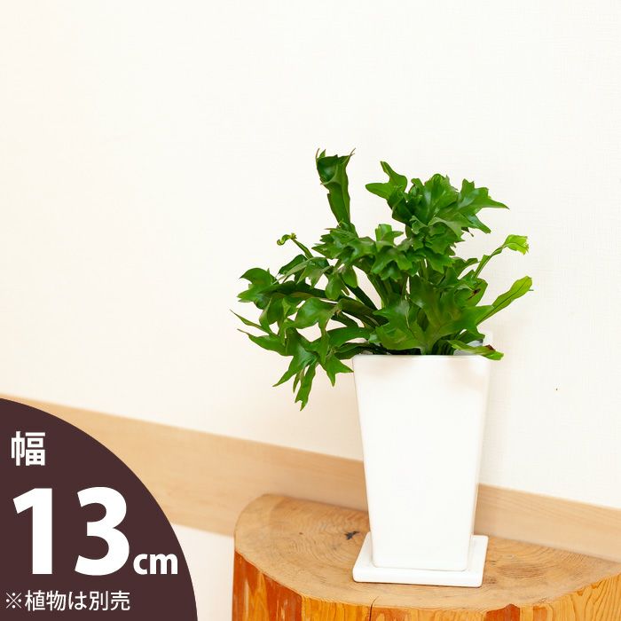 ツヤ感縦長スクエア植木鉢｜3.5号～4号の観葉植物の植え替えに