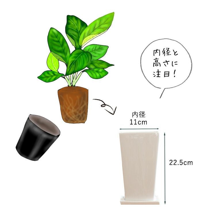ツヤ感縦長スクエア植木鉢｜3.5号～4号の観葉植物の植え替えに