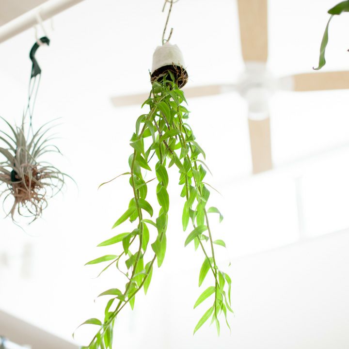 000000001196-01.jpg?size=l&w=