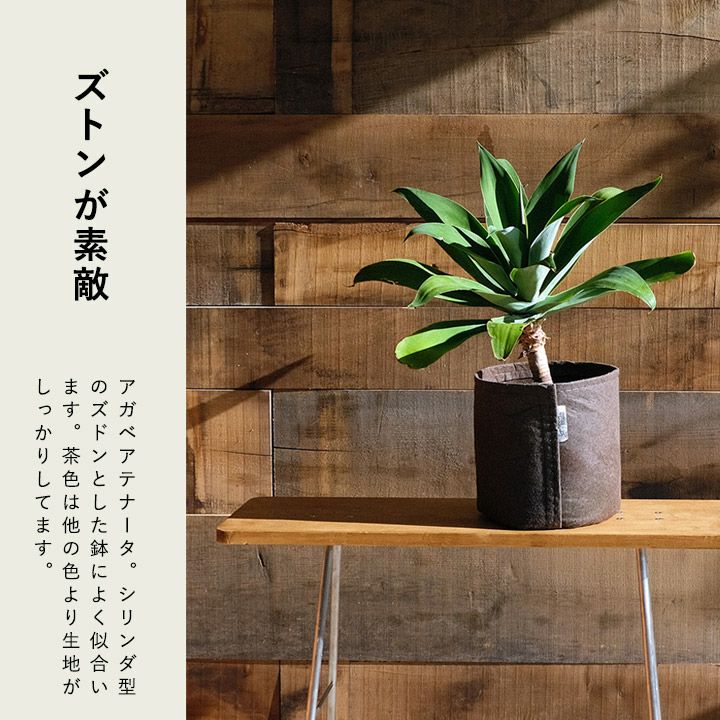 ルーツポーチ(不織布の植木鉢)：5～6号の果樹や花木の植え替えに