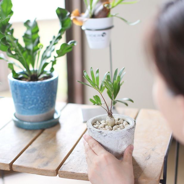 000000001227-04.jpg?size=l&w=