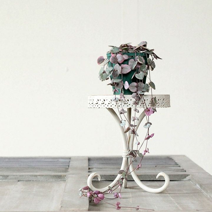 000000001236-01.jpg?size=l&w=