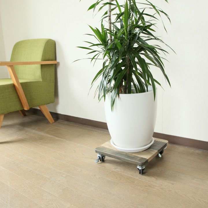 000000001244-01.jpg?size=l&w=