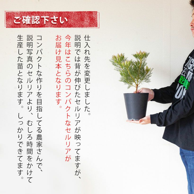 000000001298-16.jpg?size=l&w=