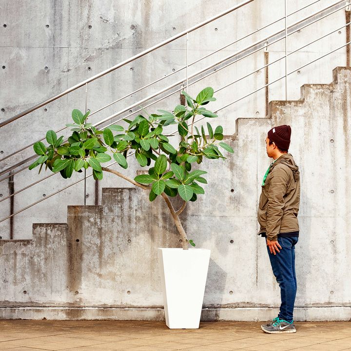 リゾート風・大型スクエアトール植木鉢（40cm）RS40【送料無料・同梱