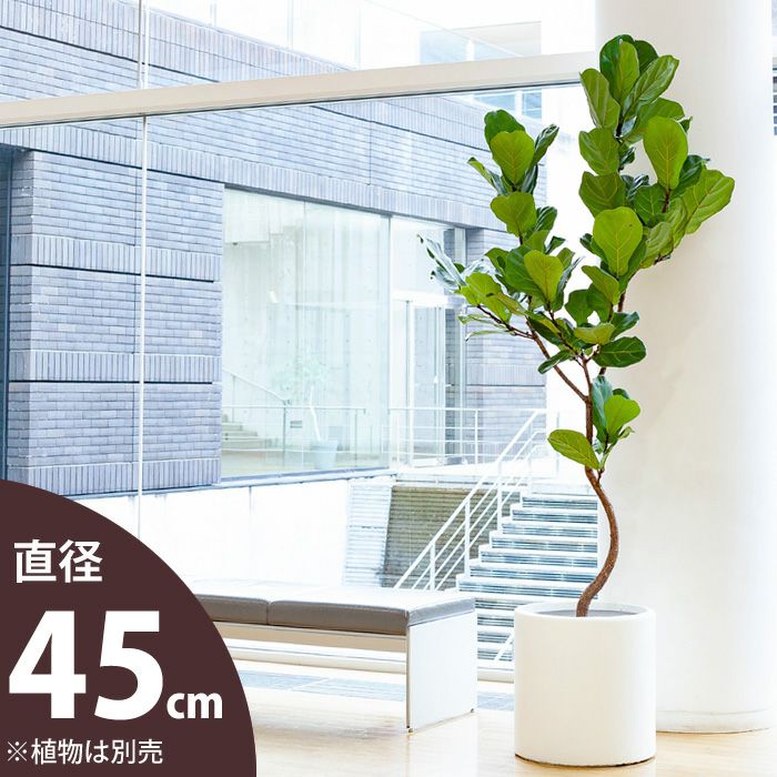 大型シリンダー植木鉢（45cm）OC45※同梱不可商品です | [公式]e-花屋さん