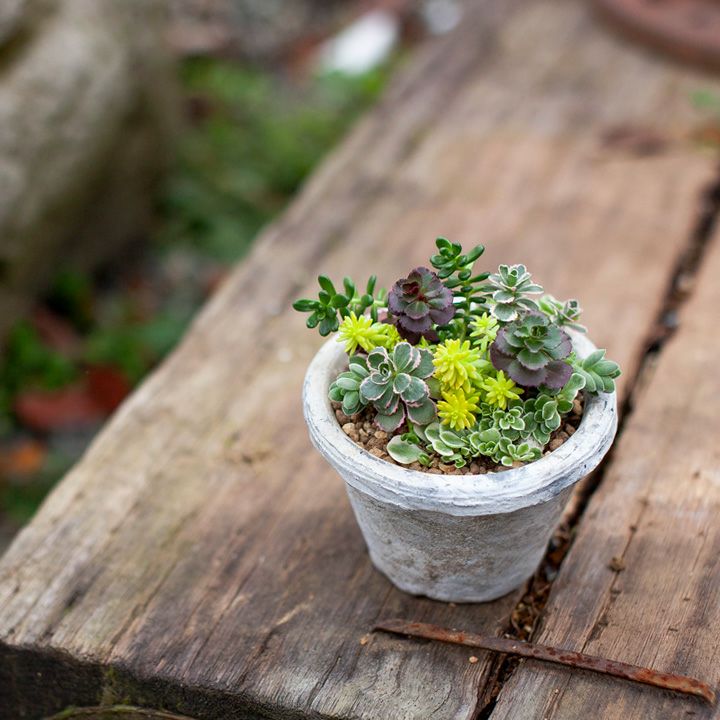 000000001319-05.jpg?size=l&w=