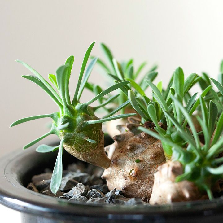 000000001326-02.jpg?size=l&w=