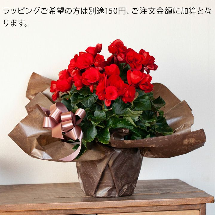 000000001333-04.jpg?size=l&w=