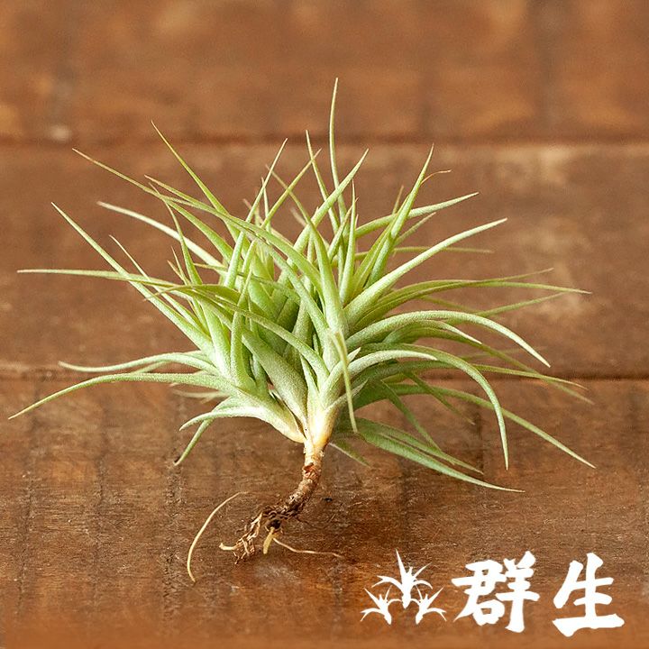 000000001349-16.jpg?size=l&w=