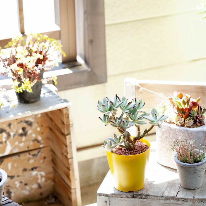 000000001413-04.jpg?size=l&w=