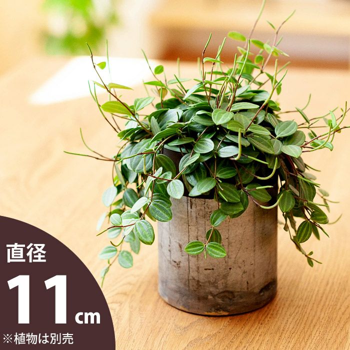 形や素材が個性的な植木鉢｜[公式] e-花屋さん 本店