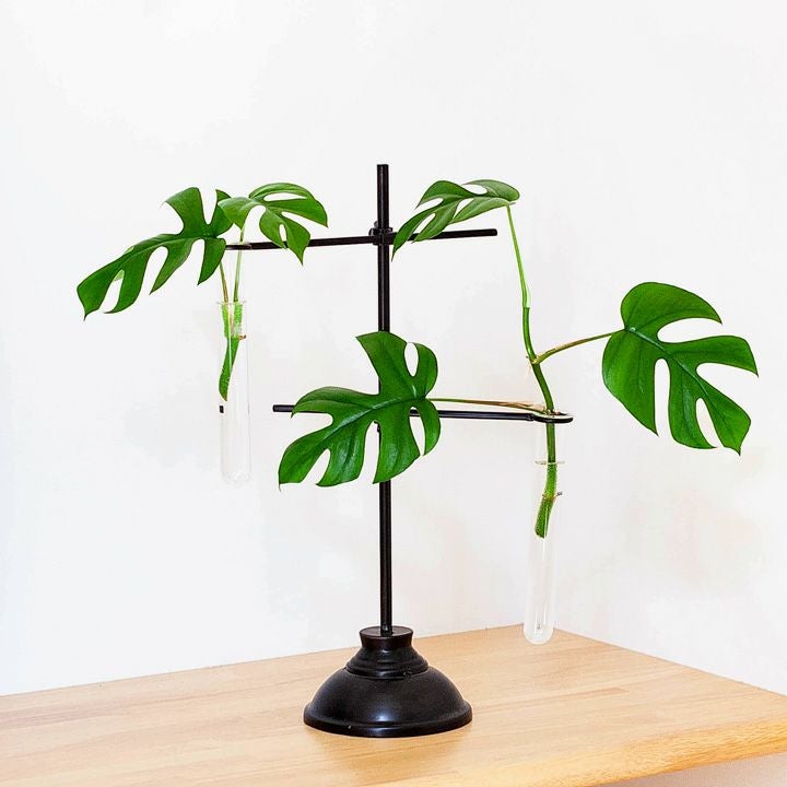 試験管立て」風、モダンスタンド。花瓶×2つtype | [公式]e-花屋さん