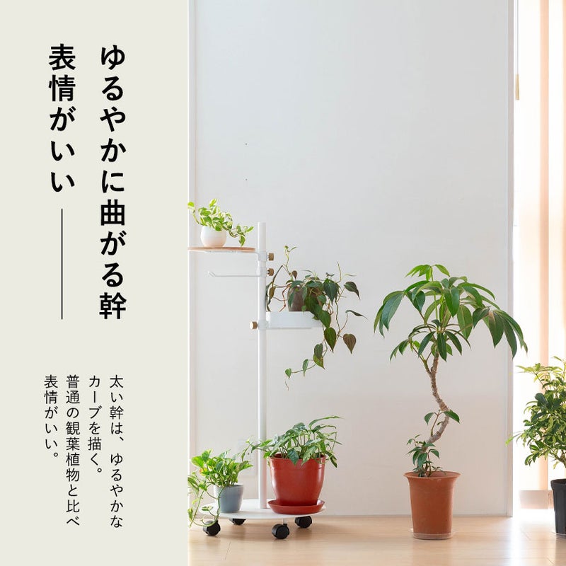 枝をピンチ