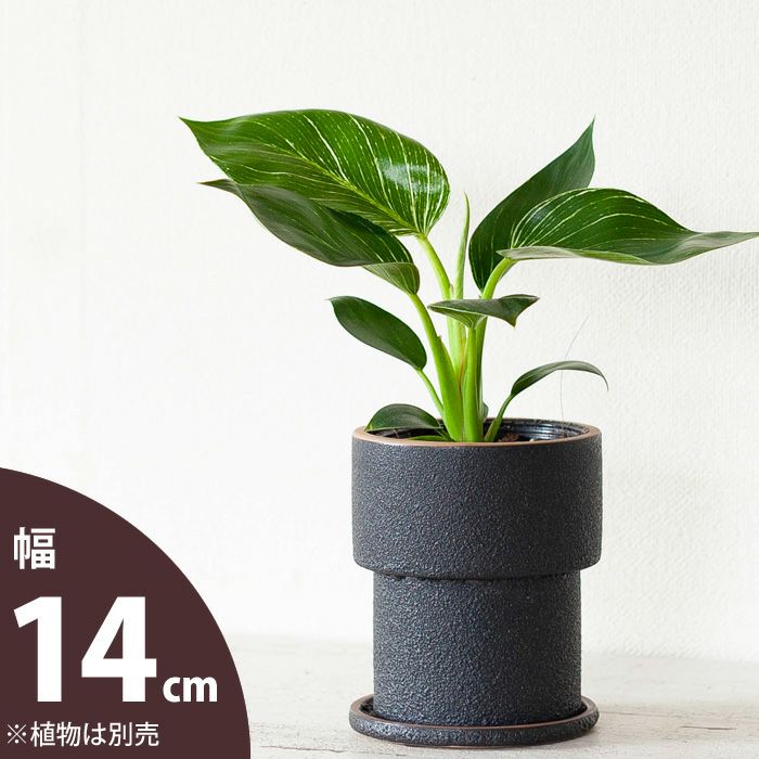ザラっとした質感。渋カワ陶器鉢（12.5cm） | [公式]e-花屋さん