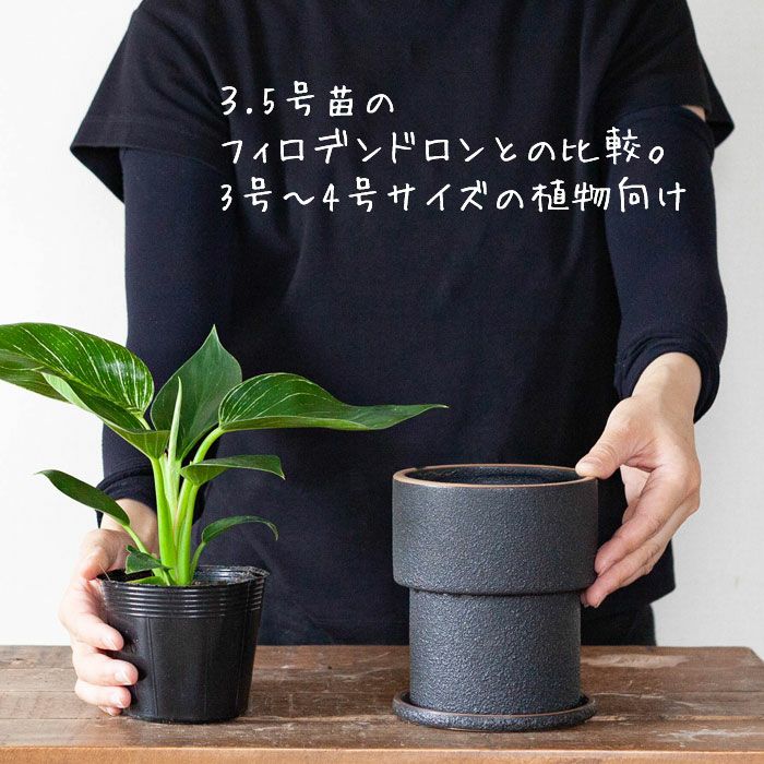 植木鉢 命がかがやく、マリアンヌのバケツ。