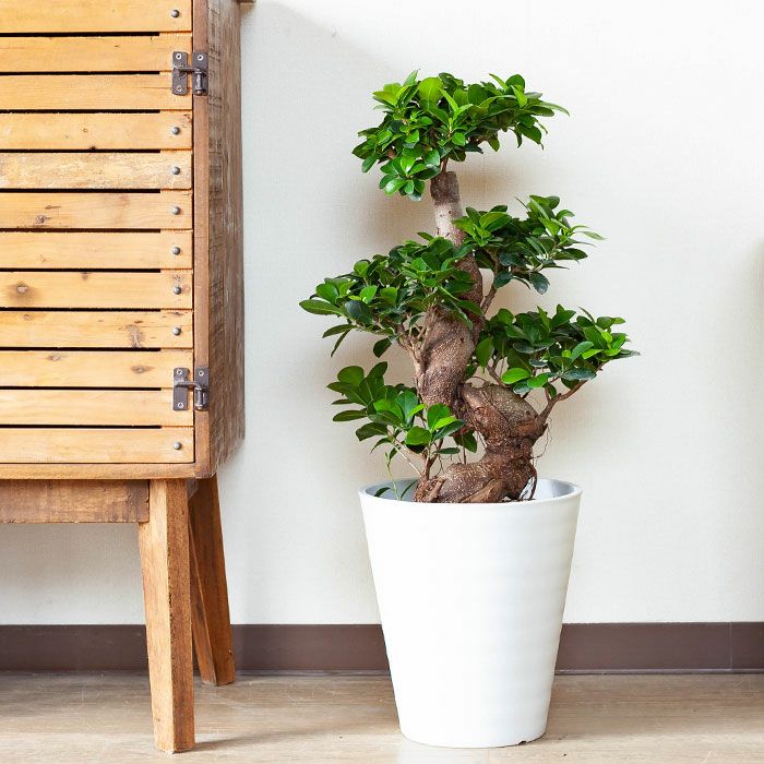 000000001472-07.jpg?size=l&w=