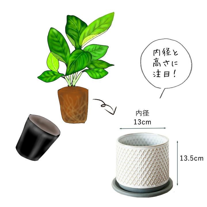 観葉植物の植え替えに！3.5～5号の大きさ向け、ツヤ白陶器鉢