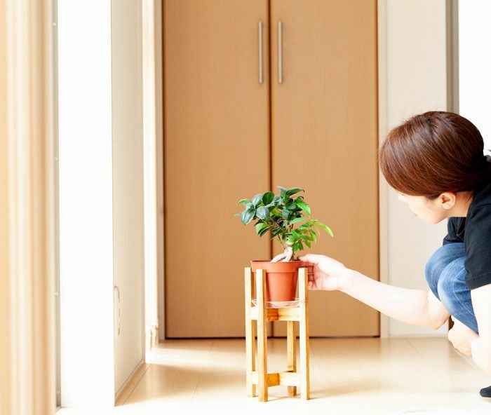 木製の花台｜玄関に観葉植物を！小さめサイズで邪魔にならない