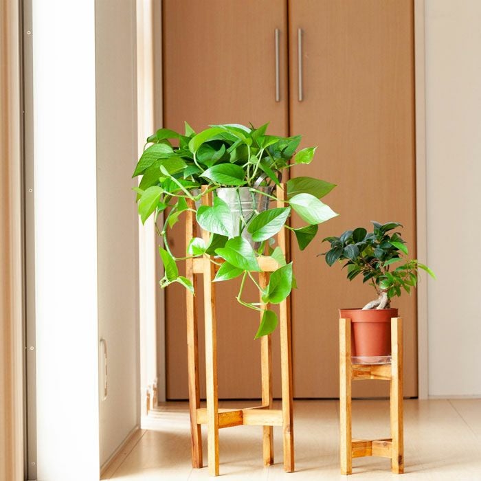 木製花台スタンド（大）（幅22.5cm） | [公式]e-花屋さん