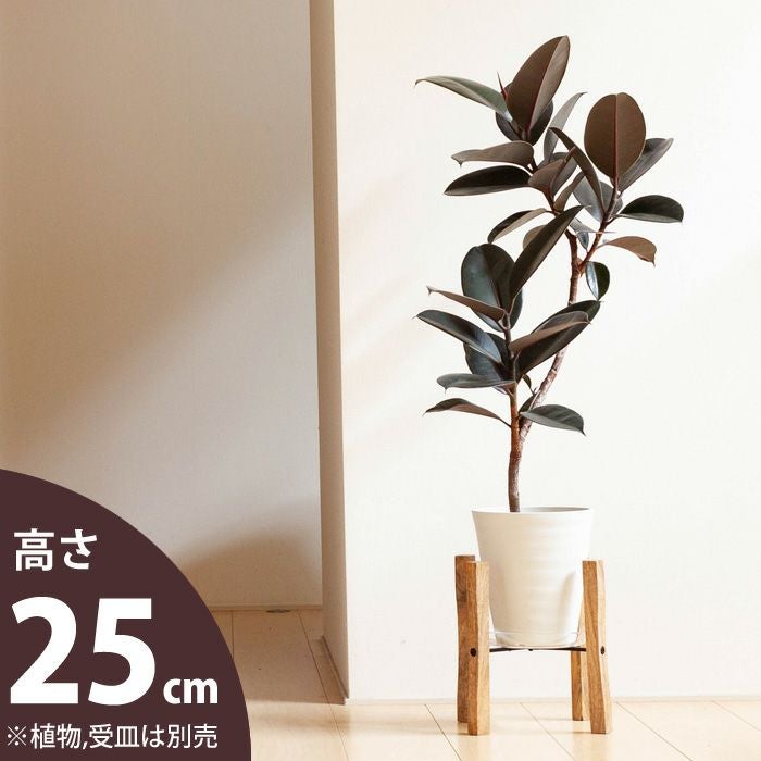 ポットスタンドで植物をお洒落に！簡単に飾るシンプル木製花台