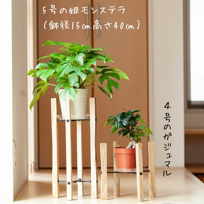 ポットスタンドで植物をお洒落に！簡単に飾るシンプル木製花台