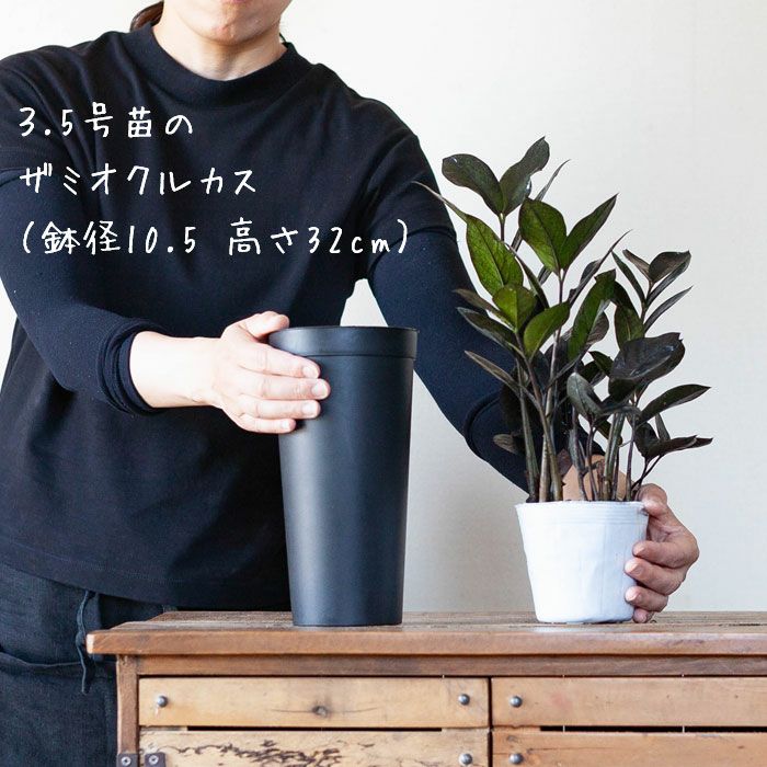 持っておくと便利！植物が成長しやすい鉢（11cm）×3鉢SET | [公式]e