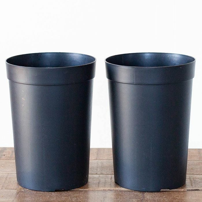 持っておくと便利！植物が成長しやすい鉢（18cm）×2鉢SET | [公式]e