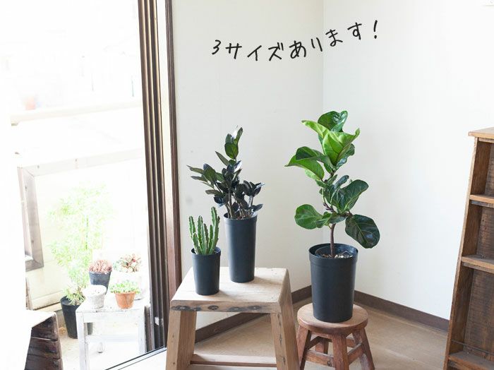 持っておくと便利！植物が成長しやすい鉢（18cm）×2鉢SET | [公式]e