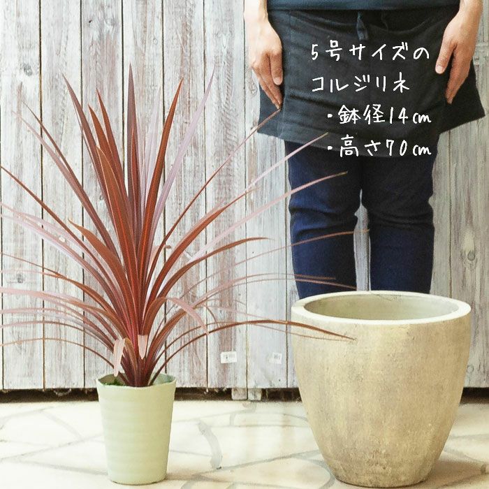 自然石風の植木鉢 特殊な山野草鉢 粋な鉢 高さ30㎝ No.45 植木鉢 陶器