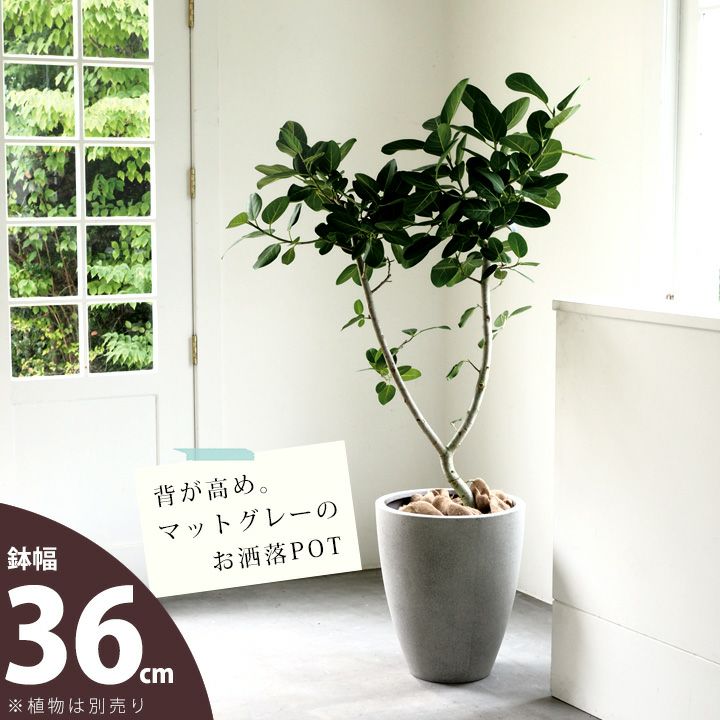 大型の植木鉢（鉢カバー）デザイン陶器、FRPで植物がおしゃれに