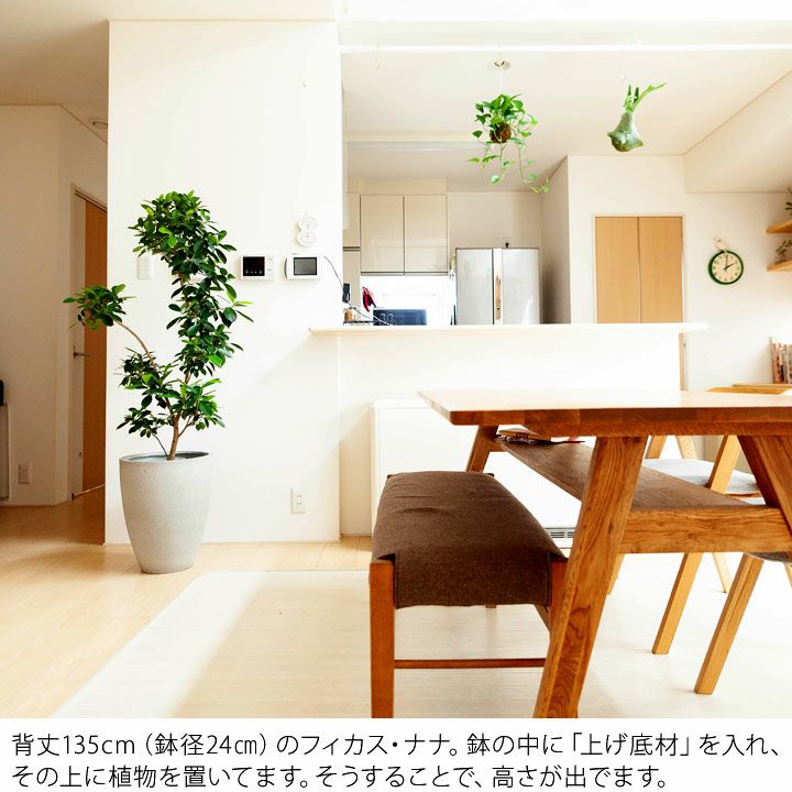 マットグレーのファイバー植木鉢（36cm）MG36※同梱不可 | [公式]e-花屋さん
