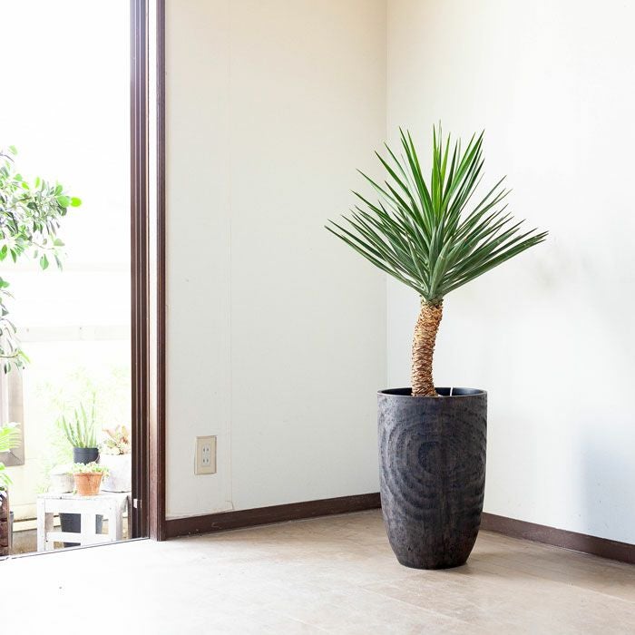 000000001549-05.jpg?size=l&w=