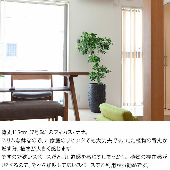 木目調の鉢カバー「トール」type（32cm）MO32【送料無料】 | [公式]e