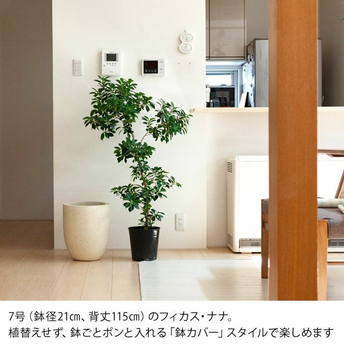 使いやすい形」のファイバーセメントPOT（31cm・面長）FO31※同梱不可