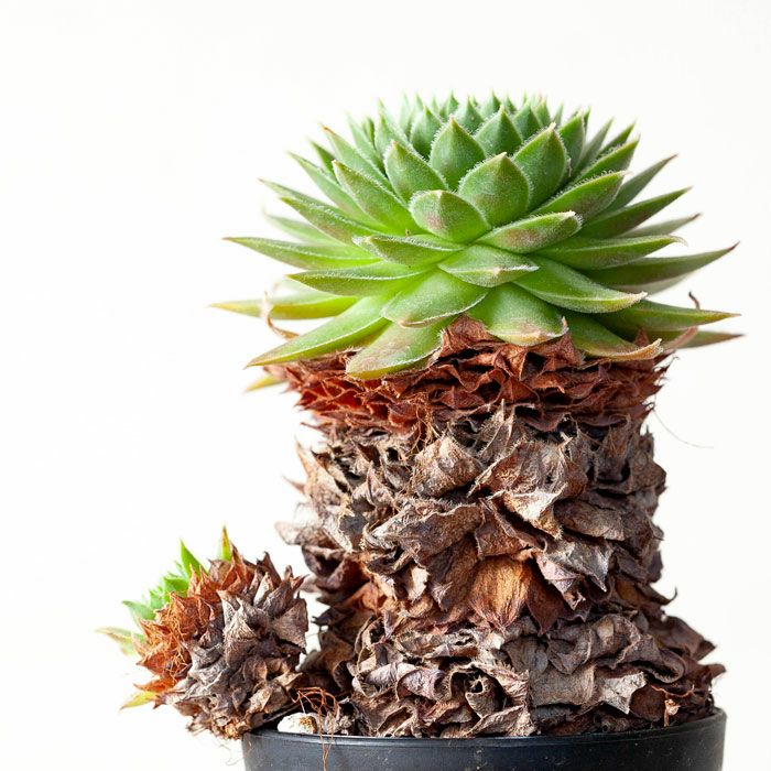 000000001576-02.jpg?size=l&w=