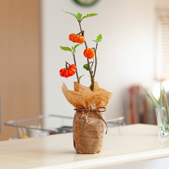 000000001590-02.jpg?size=l&w=