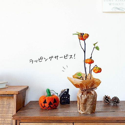 000000001590-05.jpg?size=l&w=