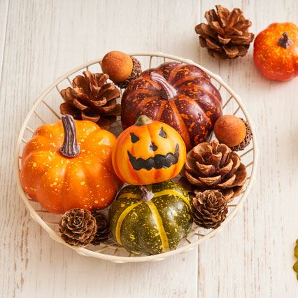 手軽にハロウィン♪ソラナム・パンプキンかぼちゃ | [公式]e-花屋さん