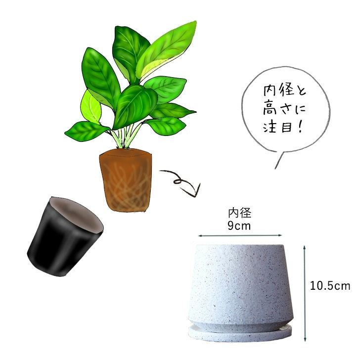 陶器鉢と飾り石３つ「アレンジ自在で素敵」インポート物値下 マット調石の質感白陶器鉢｜3～3.5号の観葉植物の植え替えに