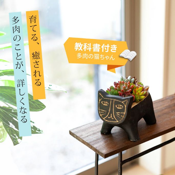 000000001604-01.jpg?size=l&w=